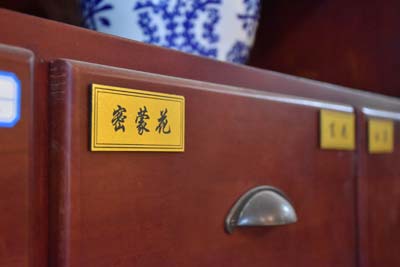 經絡埋植治療是如何進行的，有沒有風險？杜杰慧教授解答