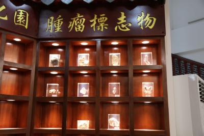 脂肪肝比較常見的這些誤區 你了解多少？